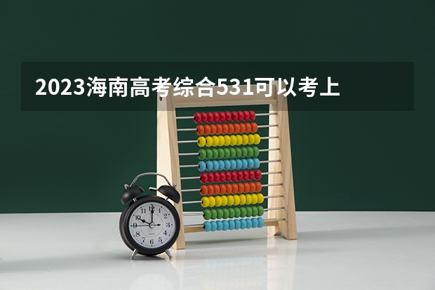 2023海南高考综合531可以考上什么大学