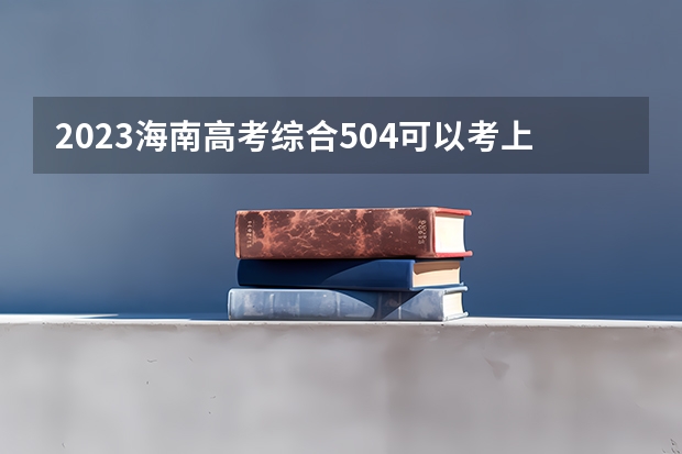 2023海南高考综合504可以考上什么大学