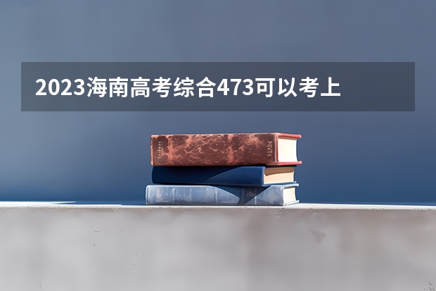 2023海南高考综合473可以考上什么大学