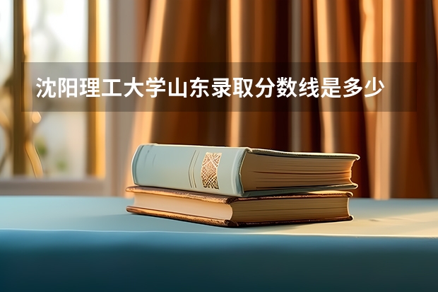 沈阳理工大学山东录取分数线是多少 沈阳理工大学山东招多少人