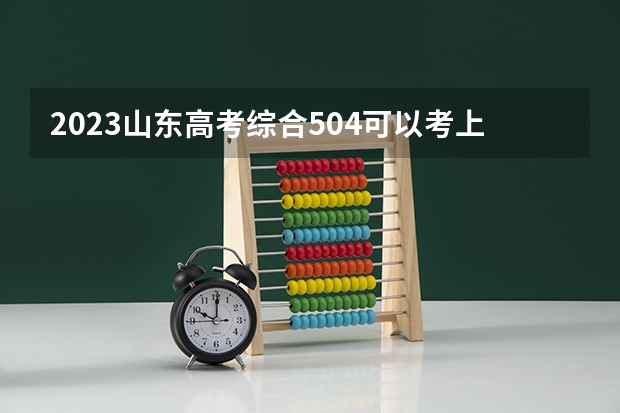 2023山东高考综合504可以考上什么大学