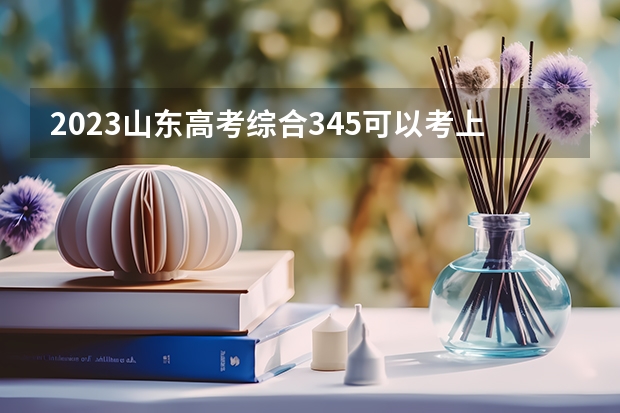 2023山东高考综合345可以考上什么大学