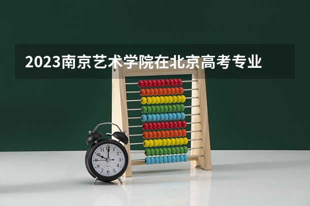 2023南京艺术学院在北京高考专业招生计划人数数量是多少
