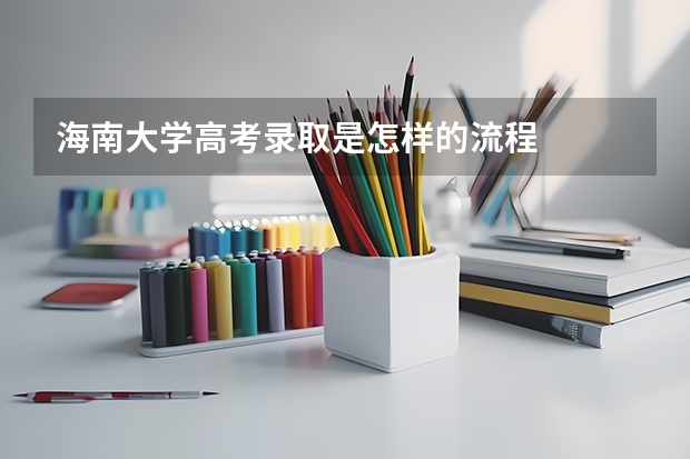 海南大学高考录取是怎样的流程
