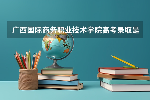 广西国际商务职业技术学院高考录取是怎样的流程