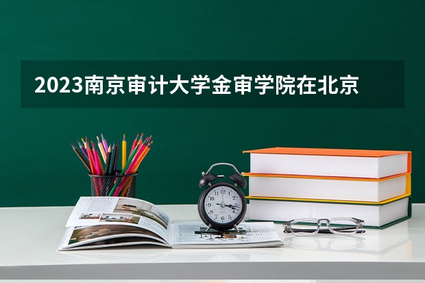 2023南京审计大学金审学院在北京高考专业招生计划人数数量是多少