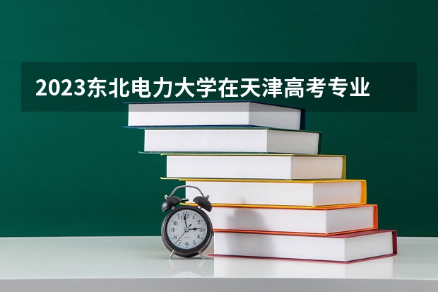 2023东北电力大学在天津高考专业招生计划人数数量是多少