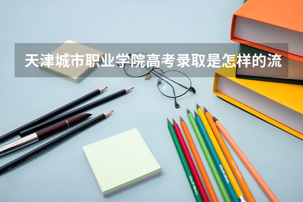 天津城市职业学院高考录取是怎样的流程