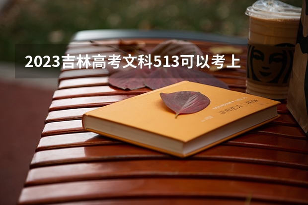 2023吉林高考文科513可以考上什么大学
