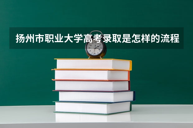 扬州市职业大学高考录取是怎样的流程