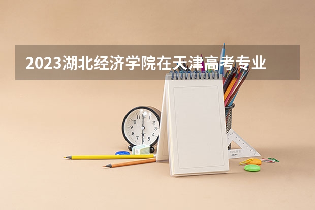 2023湖北经济学院在天津高考专业招生计划人数数量是多少