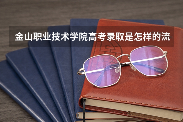 金山职业技术学院高考录取是怎样的流程