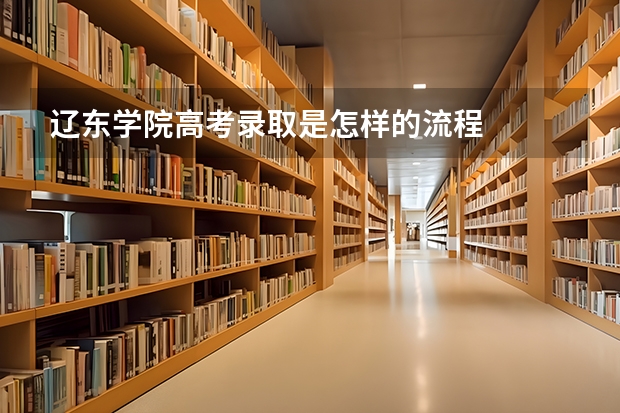 辽东学院高考录取是怎样的流程