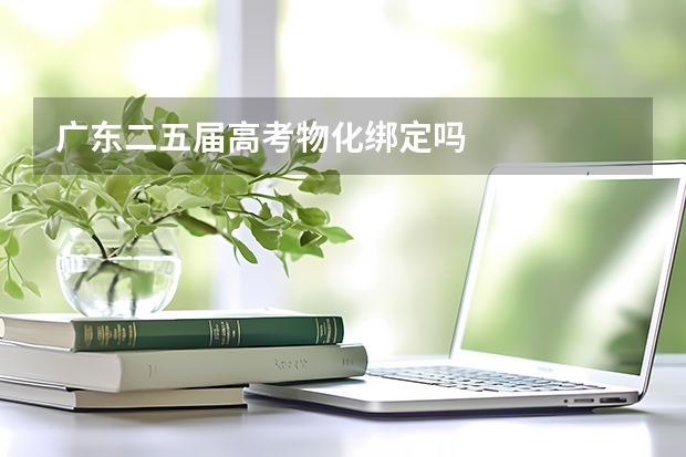 广东二五届高考物化绑定吗