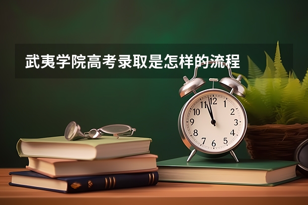 武夷学院高考录取是怎样的流程