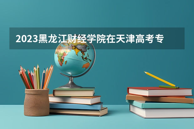 2023黑龙江财经学院在天津高考专业招生计划人数数量是多少