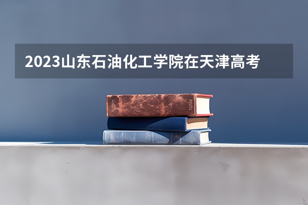 2023山东石油化工学院在天津高考专业招生计划人数数量是多少