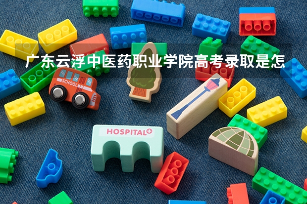 广东云浮中医药职业学院高考录取是怎样的流程