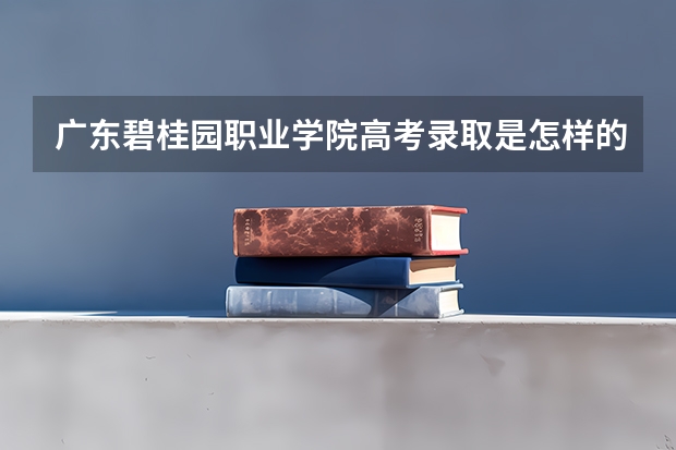广东碧桂园职业学院高考录取是怎样的流程