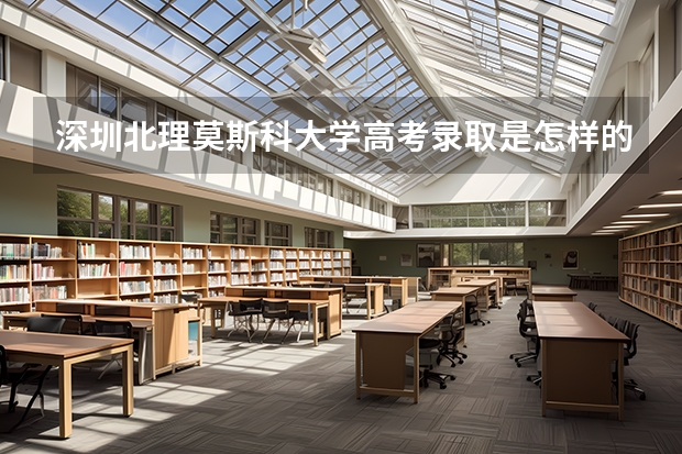 深圳北理莫斯科大学高考录取是怎样的流程