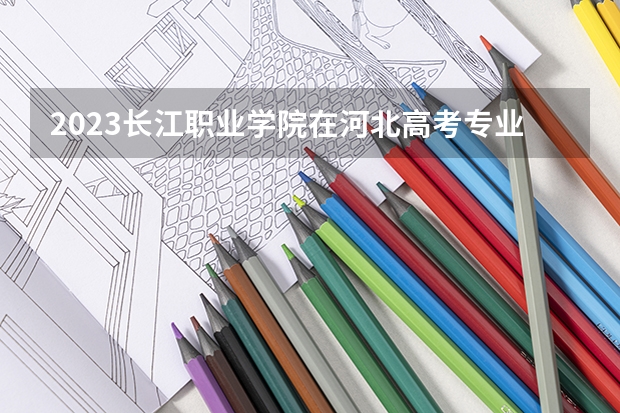 2023长江职业学院在河北高考专业招生计划人数数量是多少