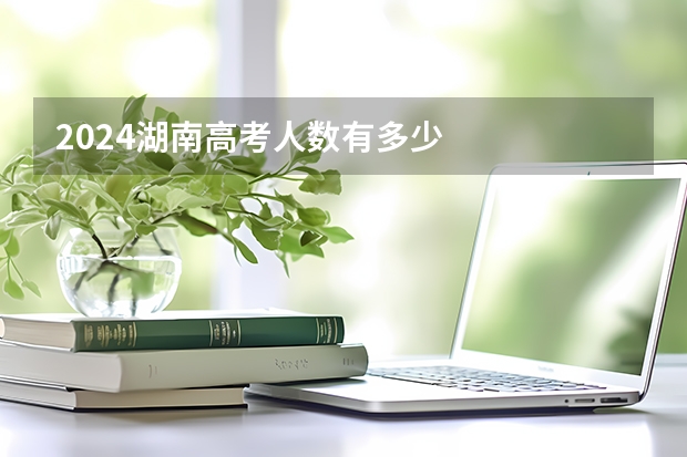 2024湖南高考人数有多少