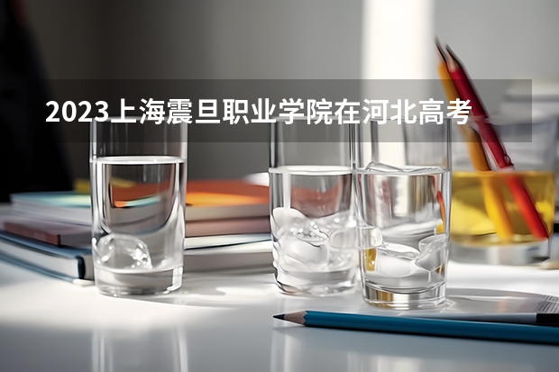 2023上海震旦职业学院在河北高考专业招生计划人数数量是多少