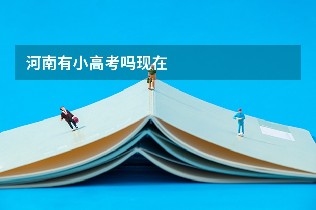 河南有小高考吗现在