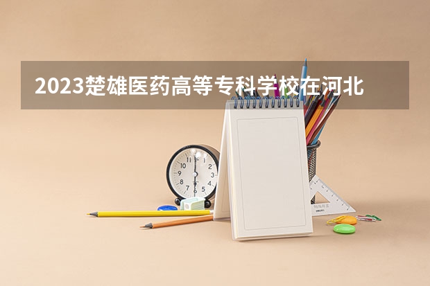 2023楚雄医药高等专科学校在河北高考专业招生计划人数数量是多少
