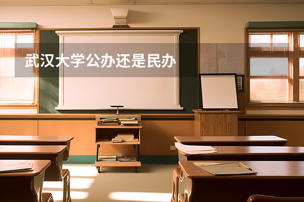 武汉大学公办还是民办