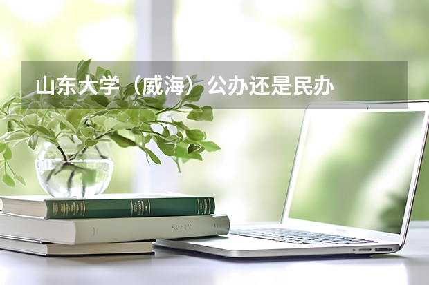 山东大学（威海）公办还是民办