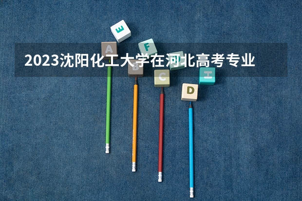2023沈阳化工大学在河北高考专业招生计划人数数量是多少
