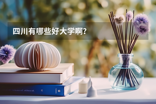 四川有哪些好大学啊？