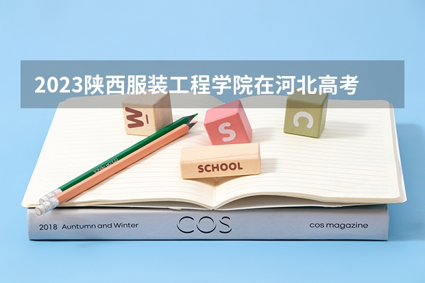 2023陕西服装工程学院在河北高考专业招生计划人数数量是多少