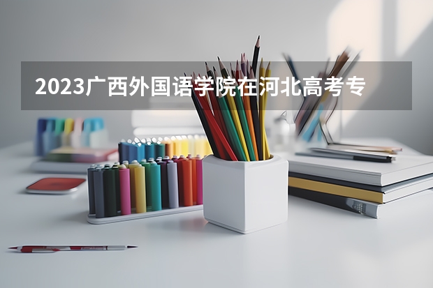 2023广西外国语学院在河北高考专业招生计划人数数量是多少
