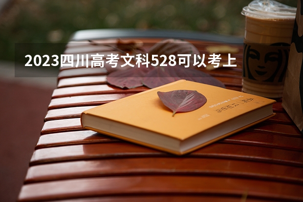 2023四川高考文科528可以考上什么大学