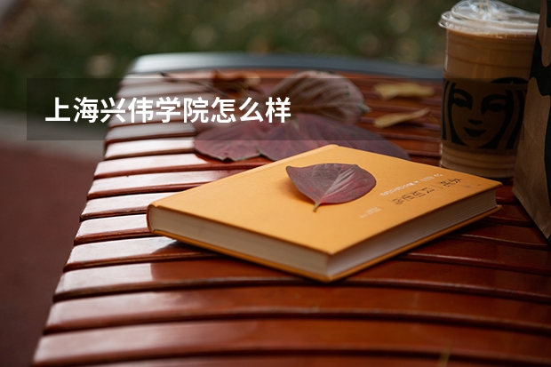 上海兴伟学院怎么样