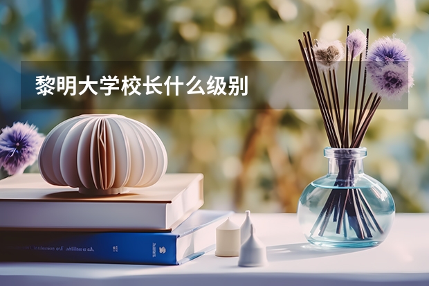 黎明大学校长什么级别