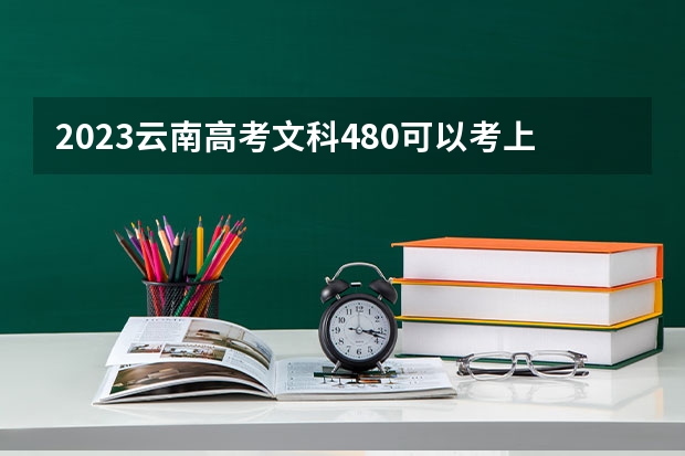 2023云南高考文科480可以考上什么大学