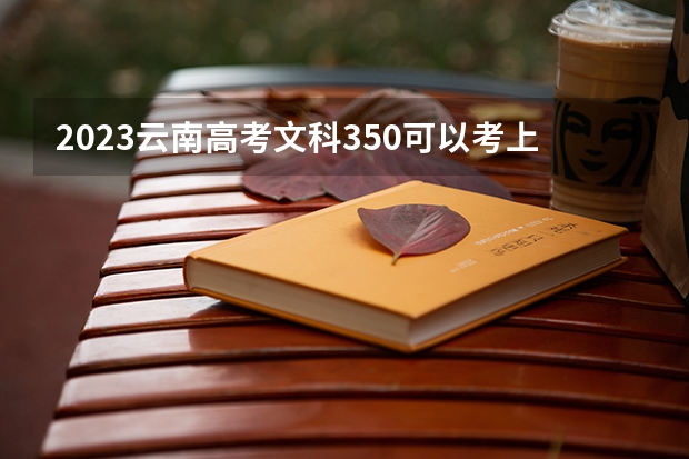 2023云南高考文科350可以考上什么大学