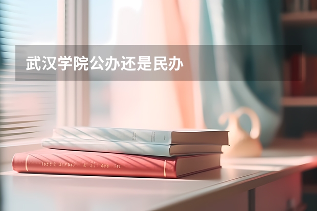 武汉学院公办还是民办