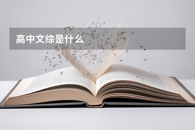 高中文综是什么