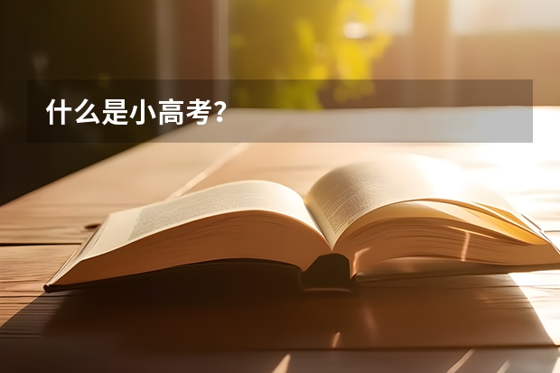 什么是小高考？