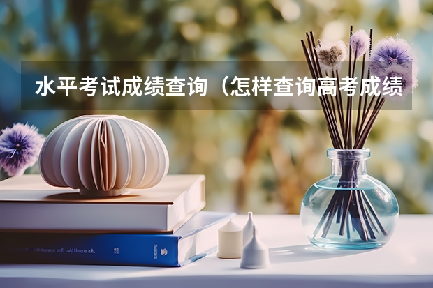 水平考试成绩查询（怎样查询高考成绩）