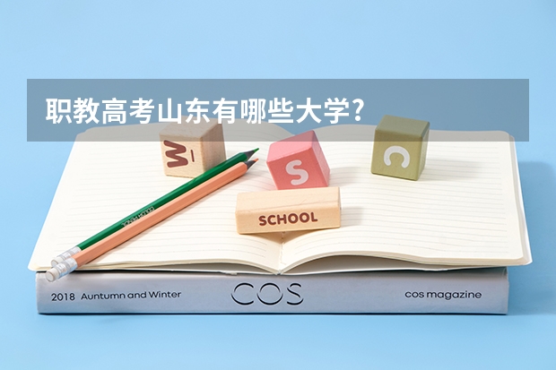 职教高考山东有哪些大学?