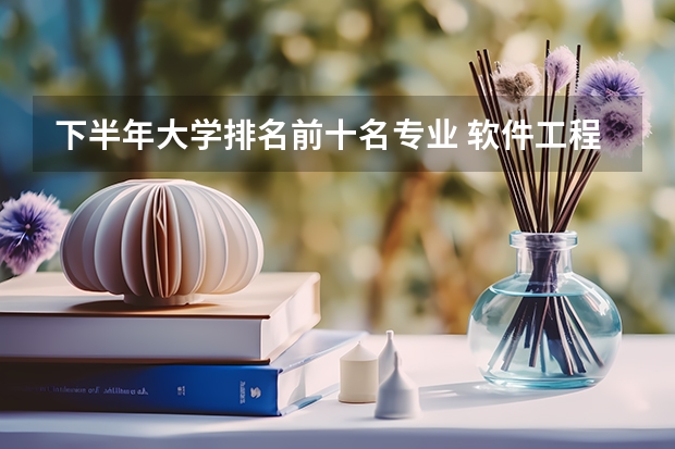 下半年大学排名前十名专业 软件工程专业排名前十的大学