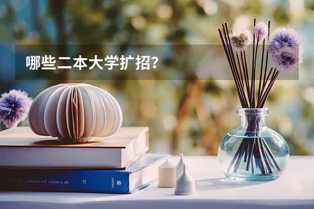 哪些二本大学扩招？
