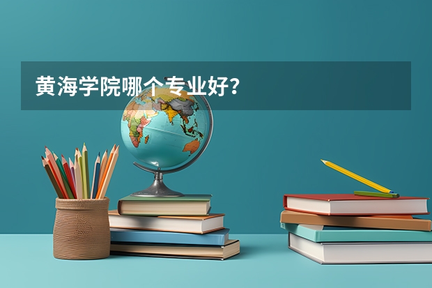 黄海学院哪个专业好？