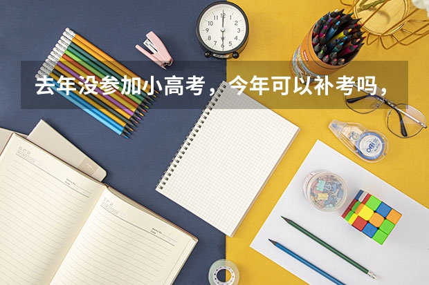 去年没参加小高考，今年可以补考吗，还是得明年和高二一起参加小高考江苏