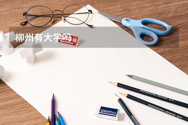 柳州有大学吗